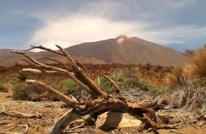 Teide Volcano Tenerife