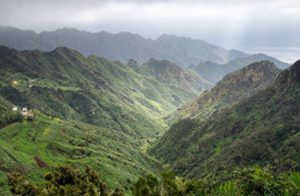 Tenerife North