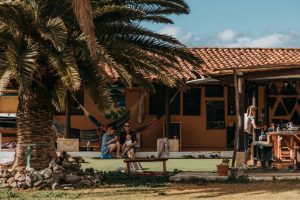 Twin Fin Tenerife – Where Dreams Become Reality - Main Photo