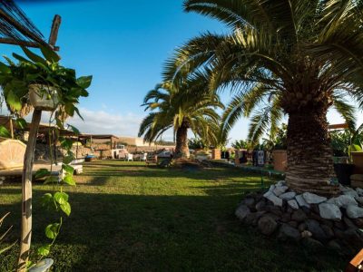 Twin Fin Team in Tenerife